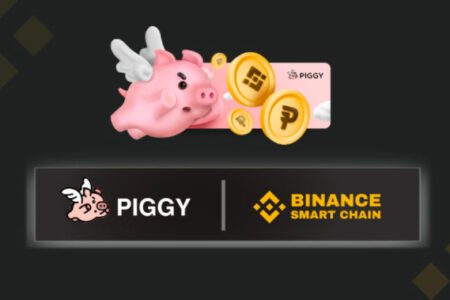 Piggy Finance 教學，手把手帶你用 BNB 進行借貸